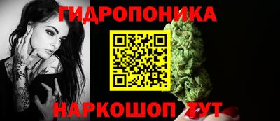 прущие грибы Апрелевка