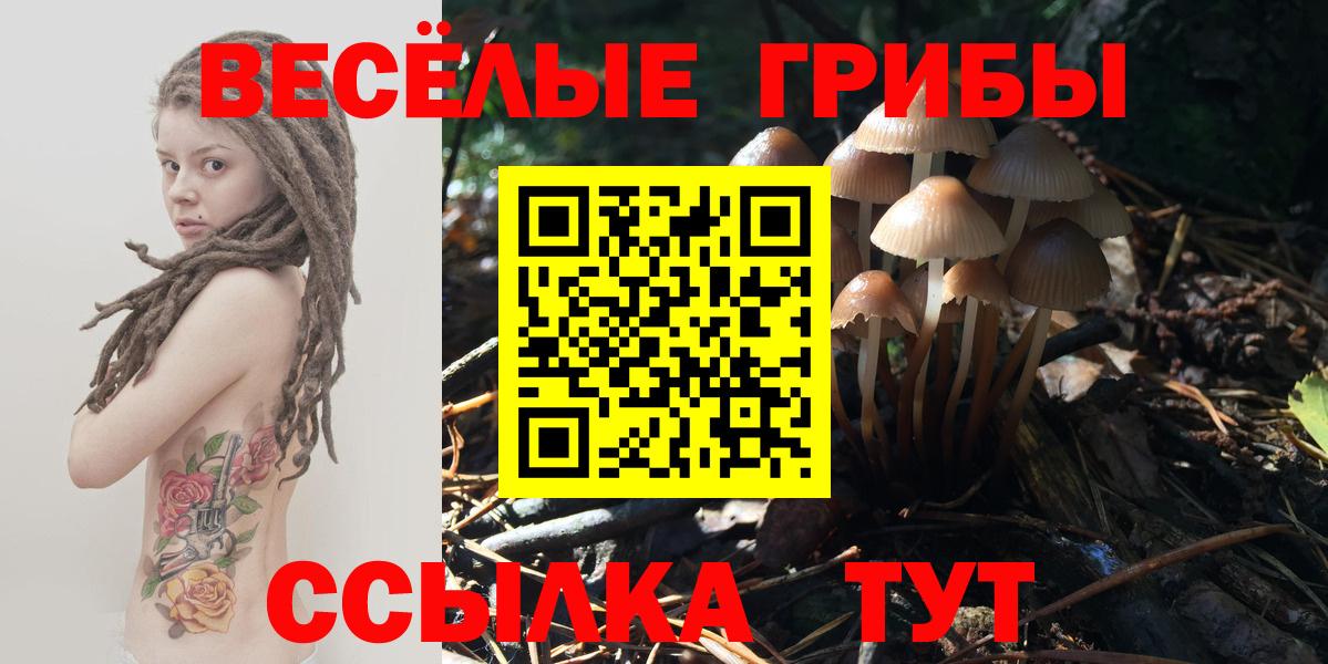 Псилоцибиновые грибы GOLDEN TEACHER Астрахань